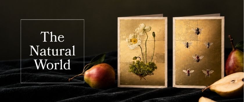 The Natural World – Grußkarten, Lesezeichen, Notizbücher und Puzzles mit Naturmotiven