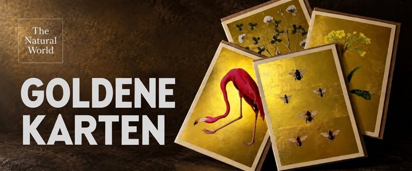 The Natural World – goldene Grußkarten mit Naturmotiven
