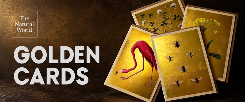 The Natural World – golden greeting cards with nature designs